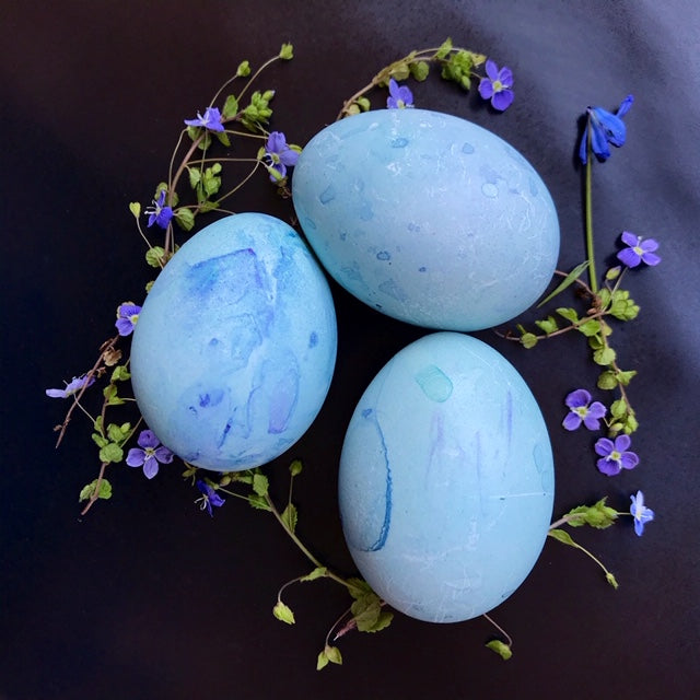 BLUE EGGS - Veggie Dyed
