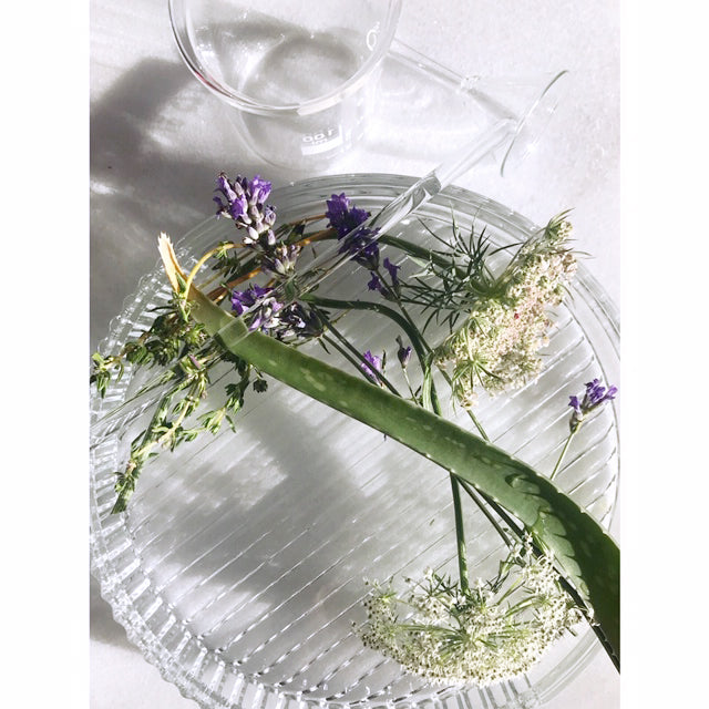 HAND DISINFECTION SPRAY & ROOM PURIFYING SPRAY